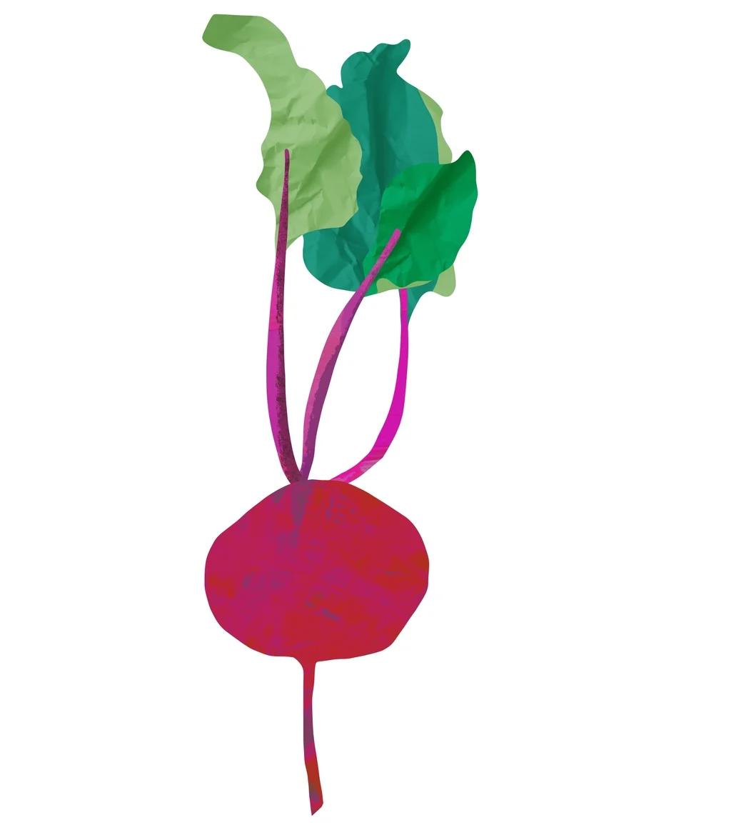 Image from the training dataset for the "Textured Cutout" model