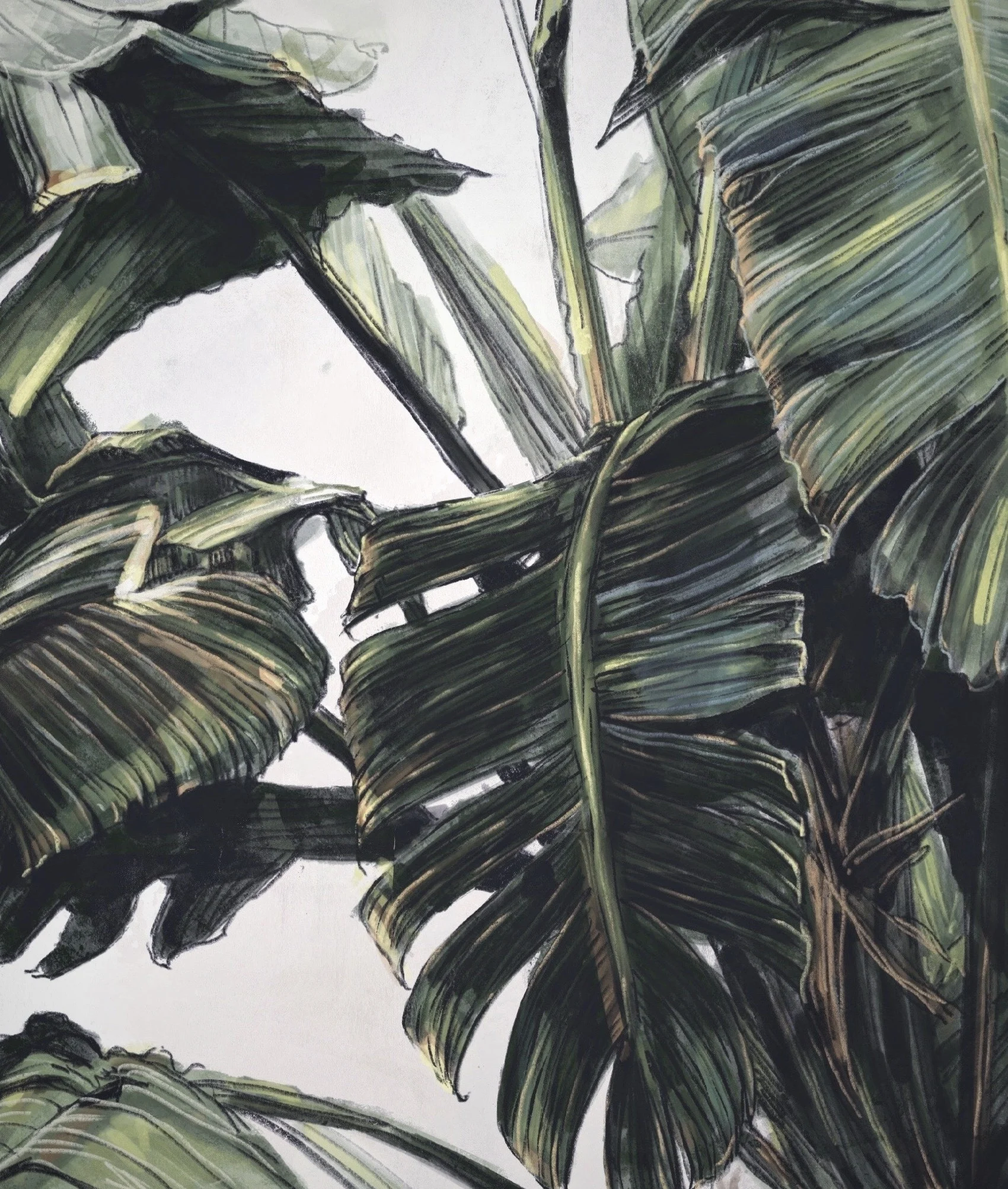 Image from the training dataset for the "Wild Elegance" model