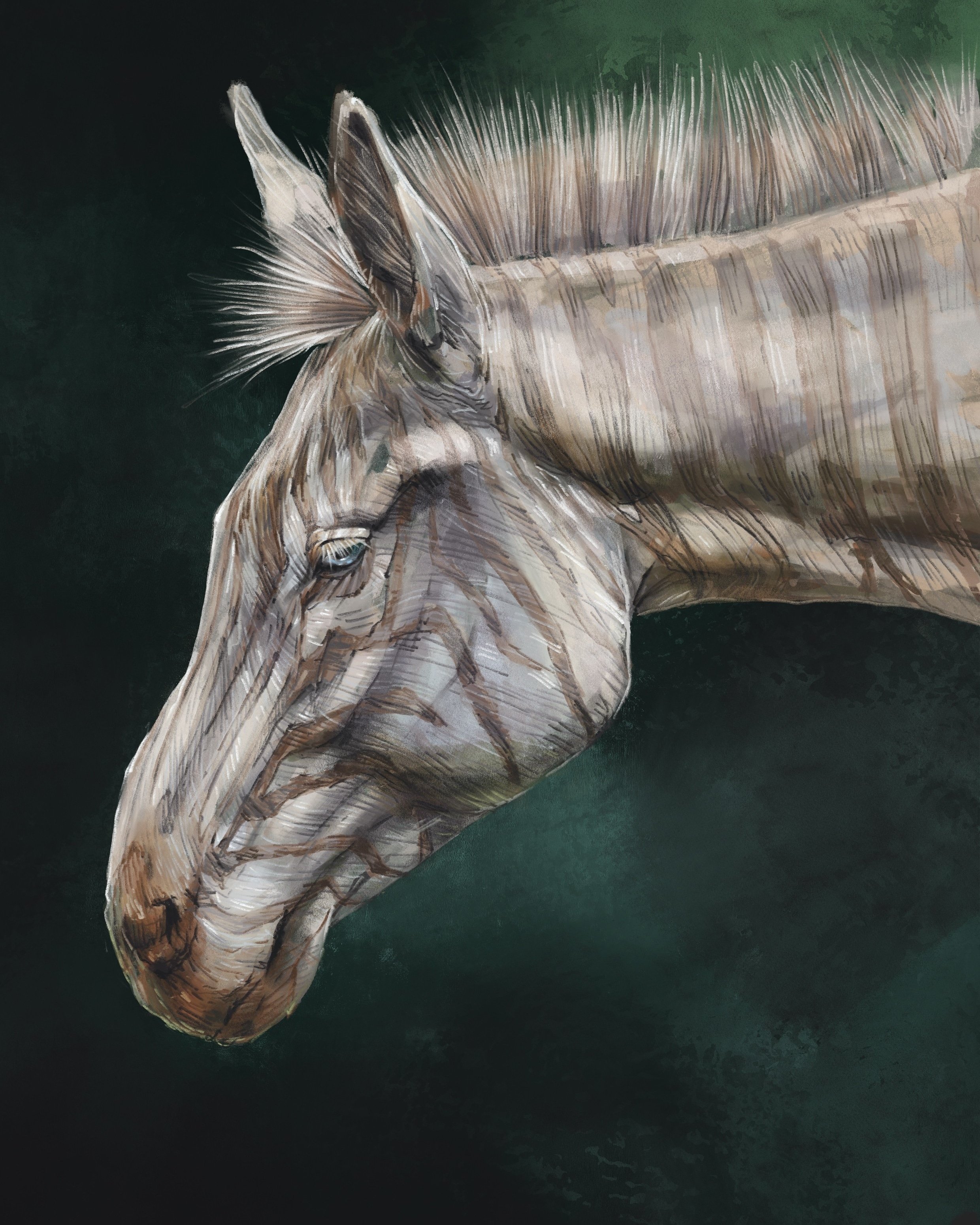 Image from the training dataset for the "Wild Elegance" model