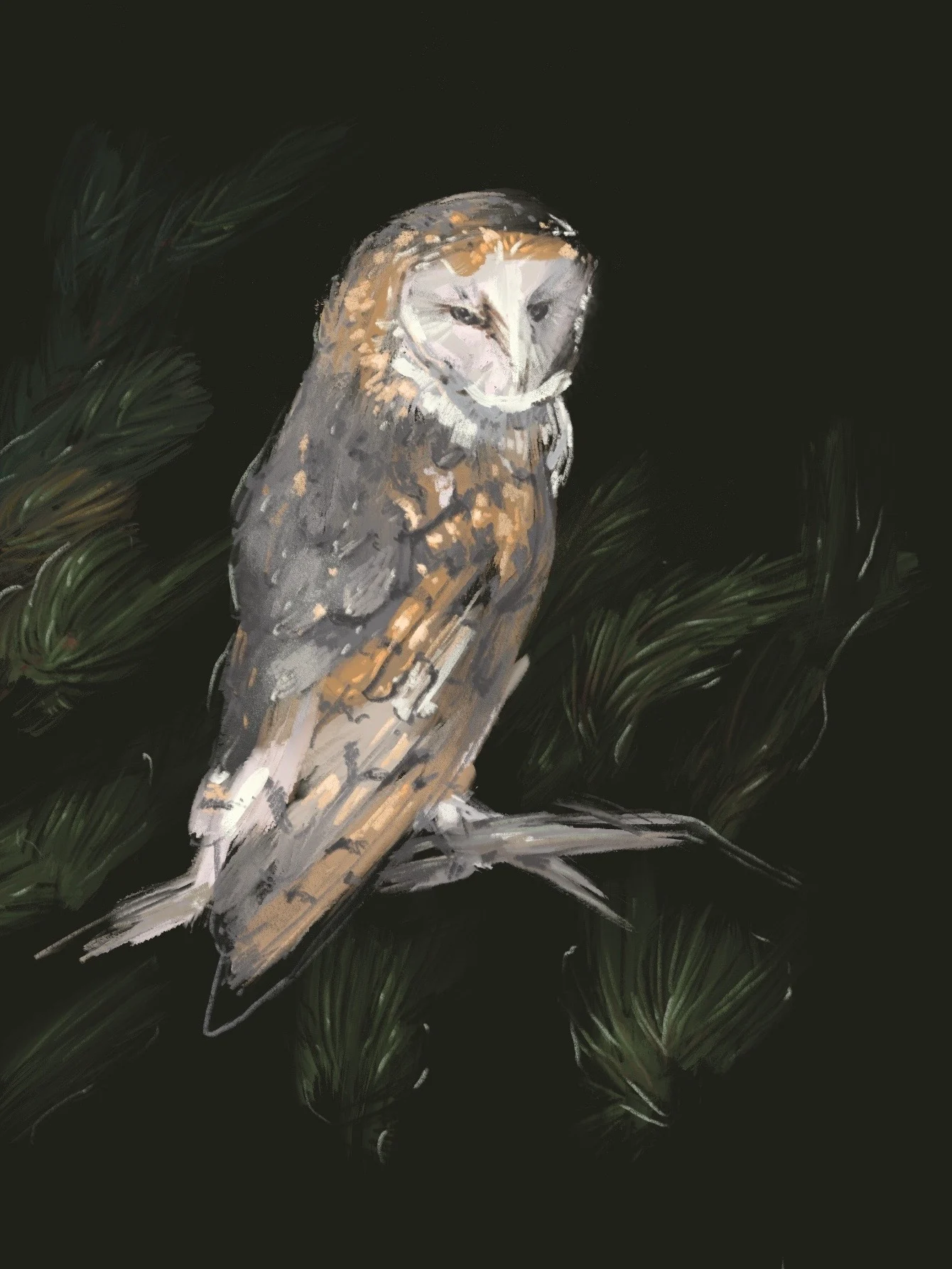 Image from the training dataset for the "Wild Elegance" model