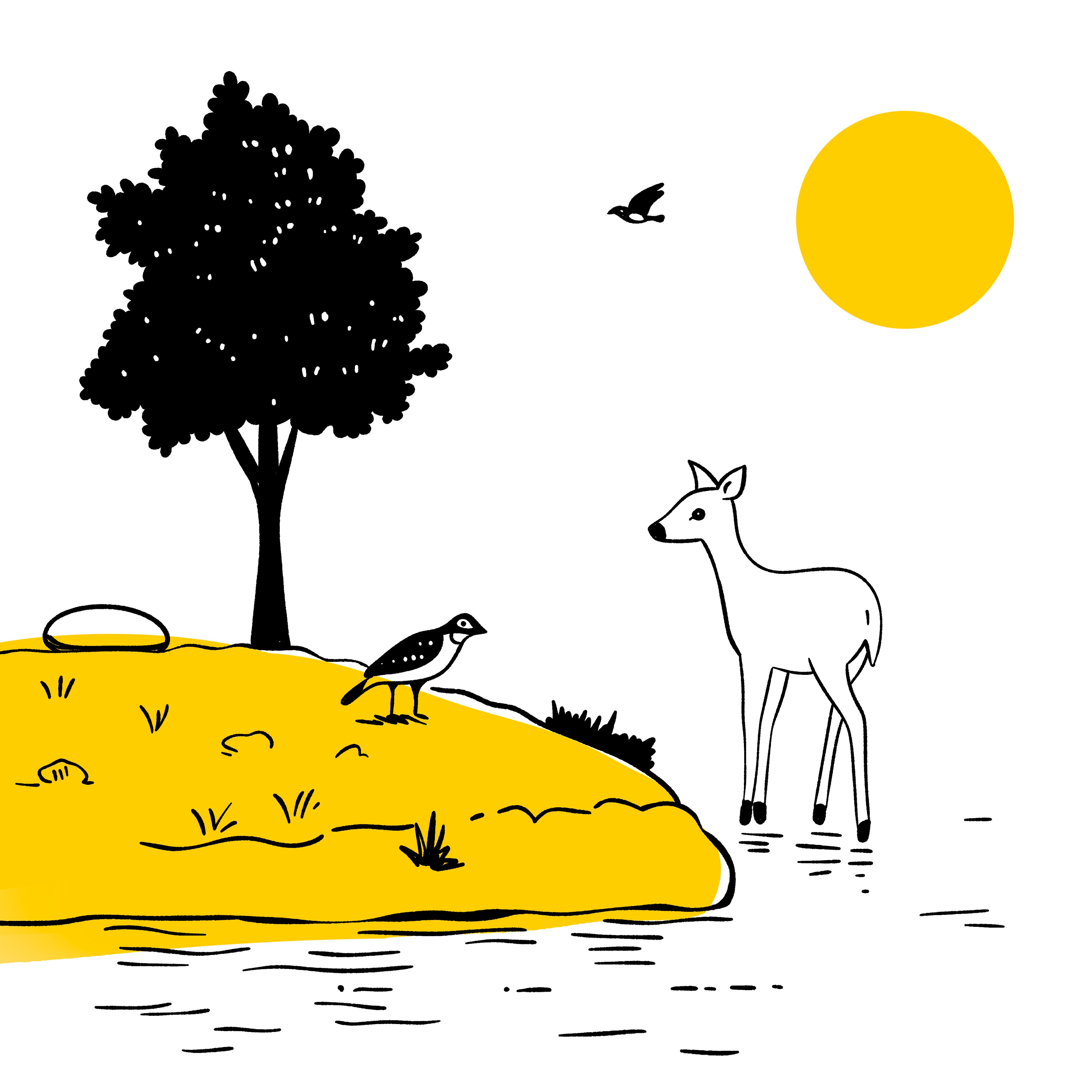 Image from the training dataset for the "Graphic Harmony" model