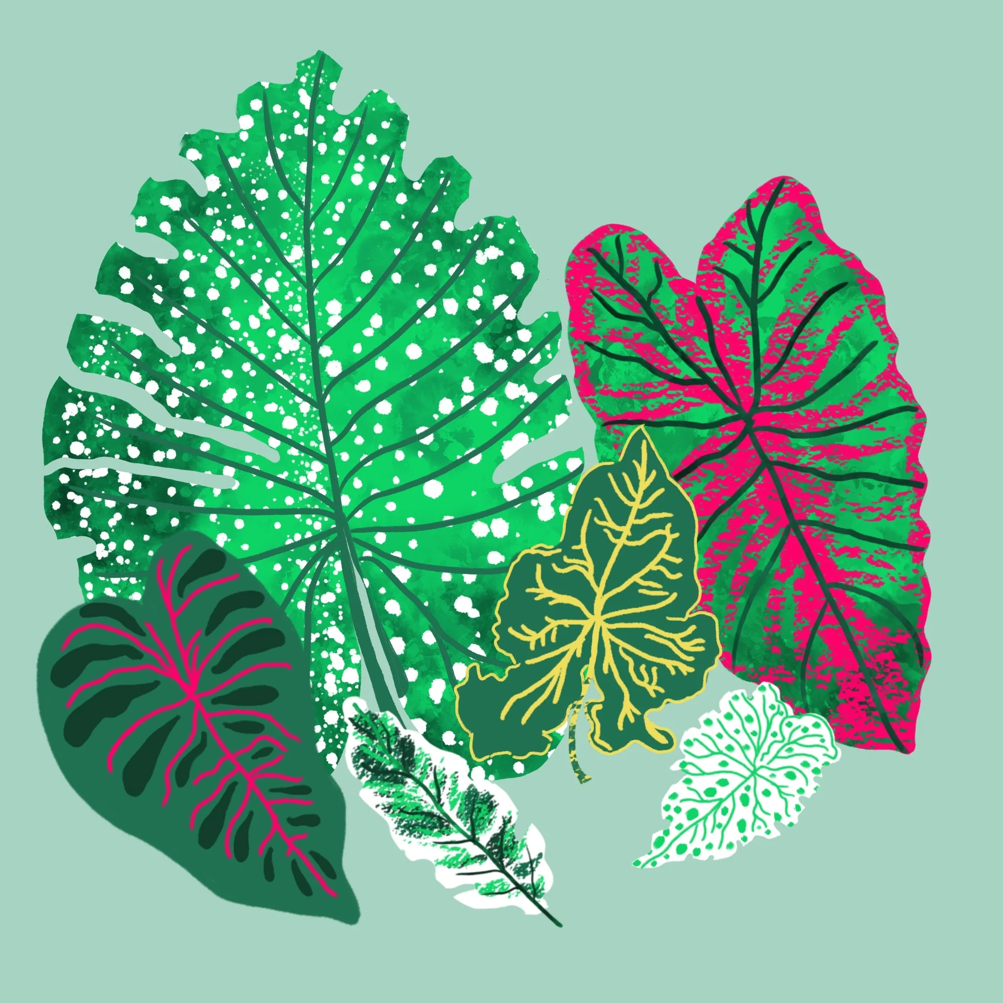 Image from the training dataset for the "Muted Modern " model