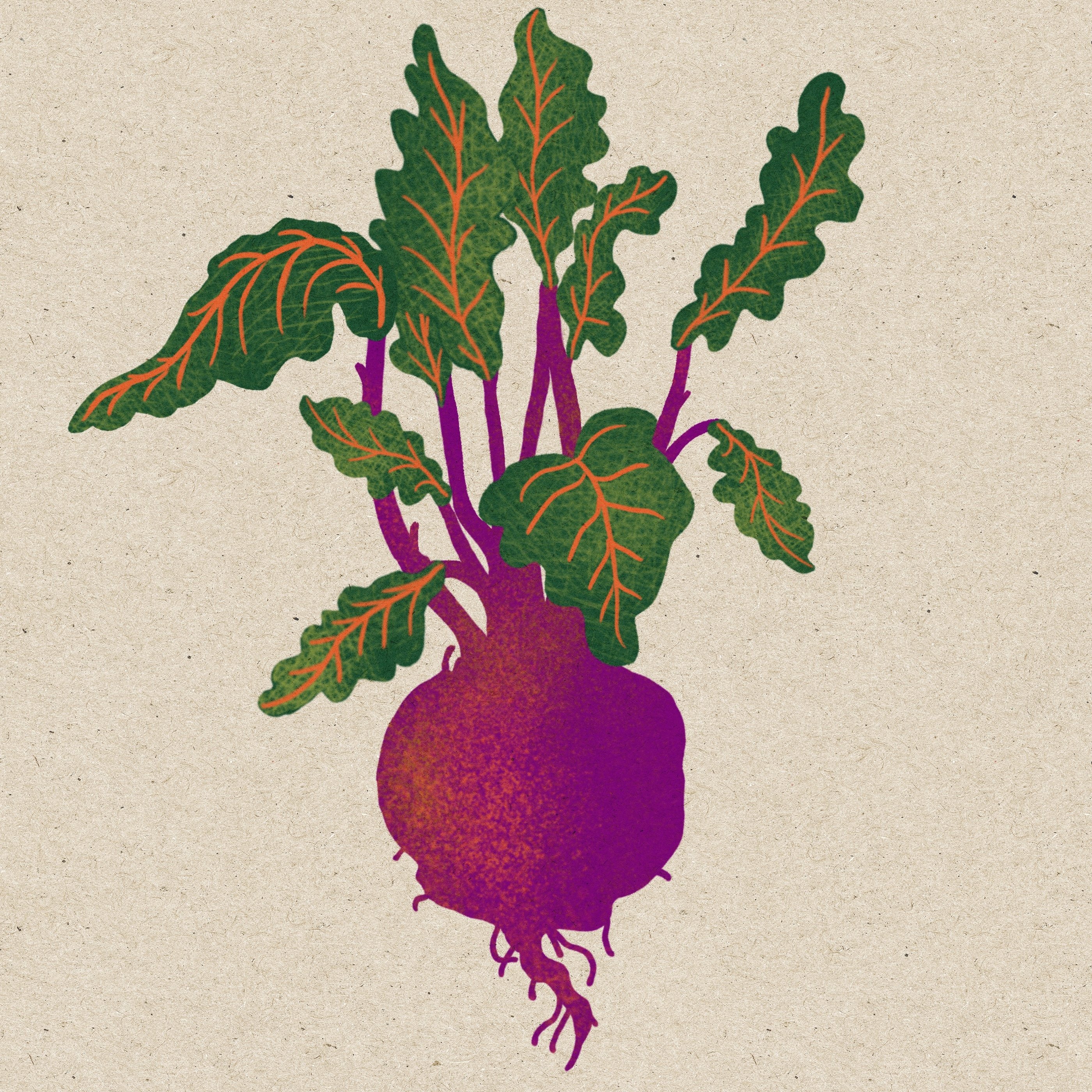 Image from the training dataset for the "Muted Modern " model