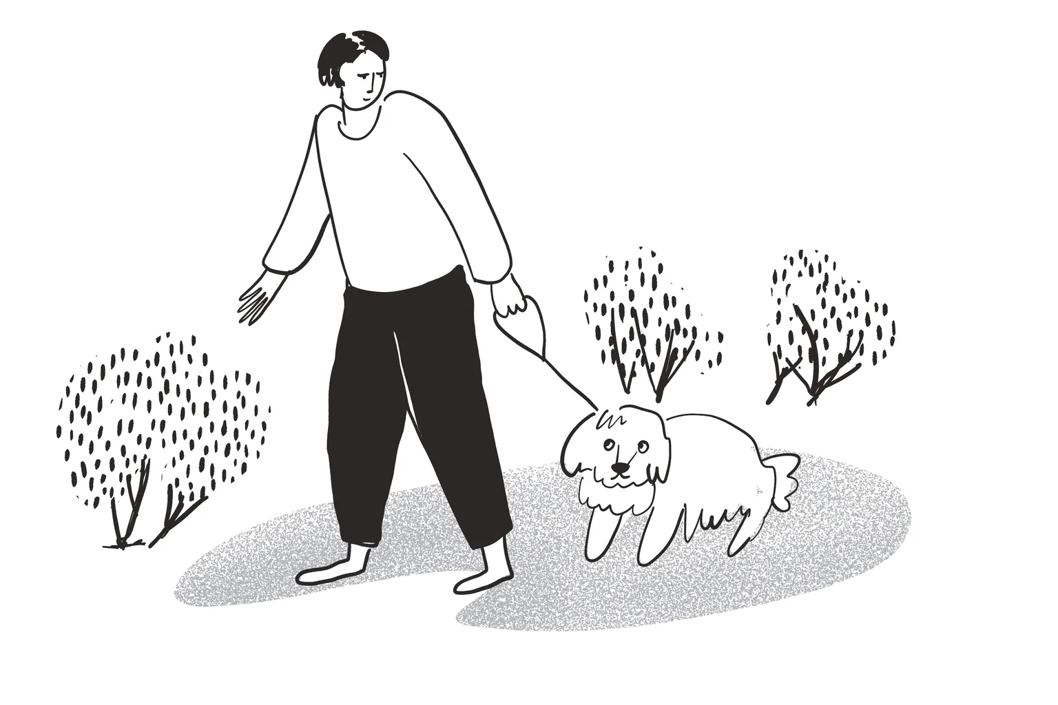 Image from the training dataset for the "Simple Lines" model