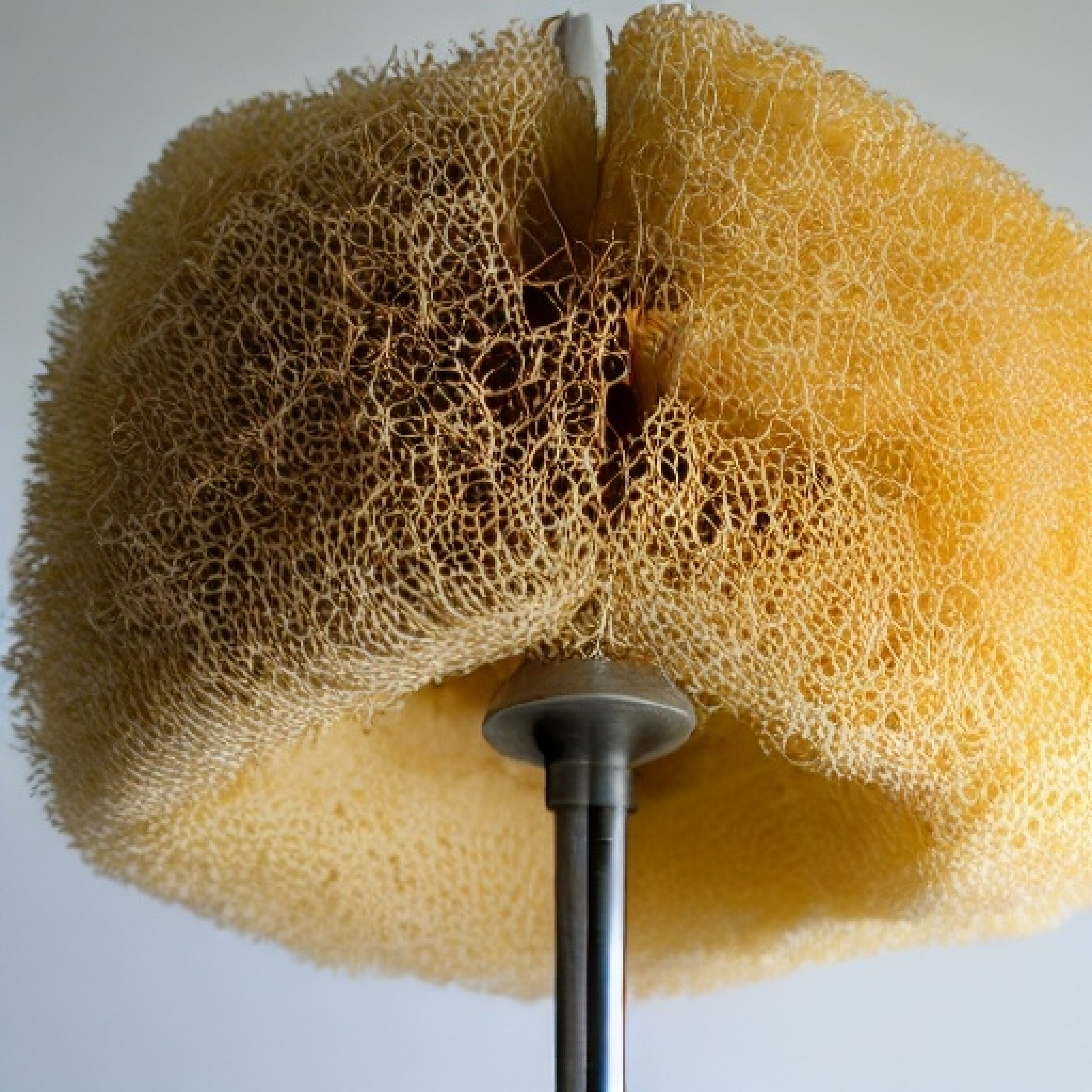 Minofmeerdesign: Furniture Making with Exactly.ai