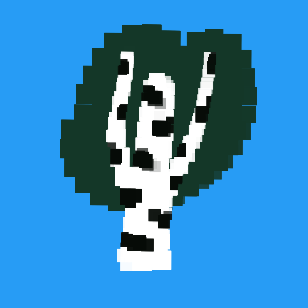 Image from the training dataset for the "Pixel Grip Copy Copy" model