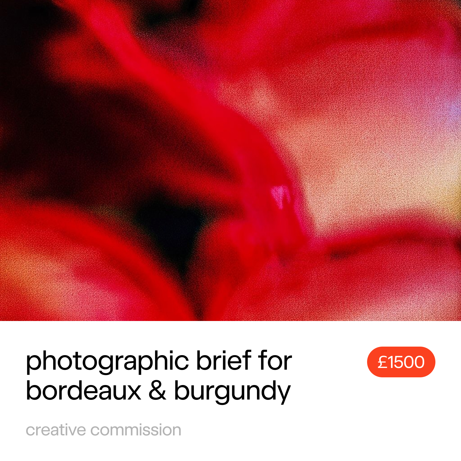 Creative commission: photographic brief for Bordeaux & Burgundy