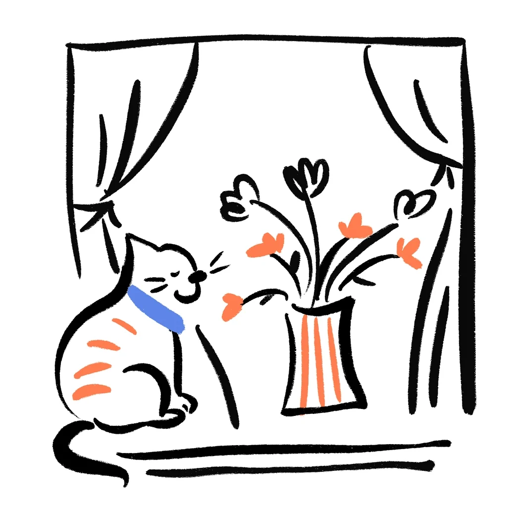 Image from the training dataset for the "Colorful Moments" model