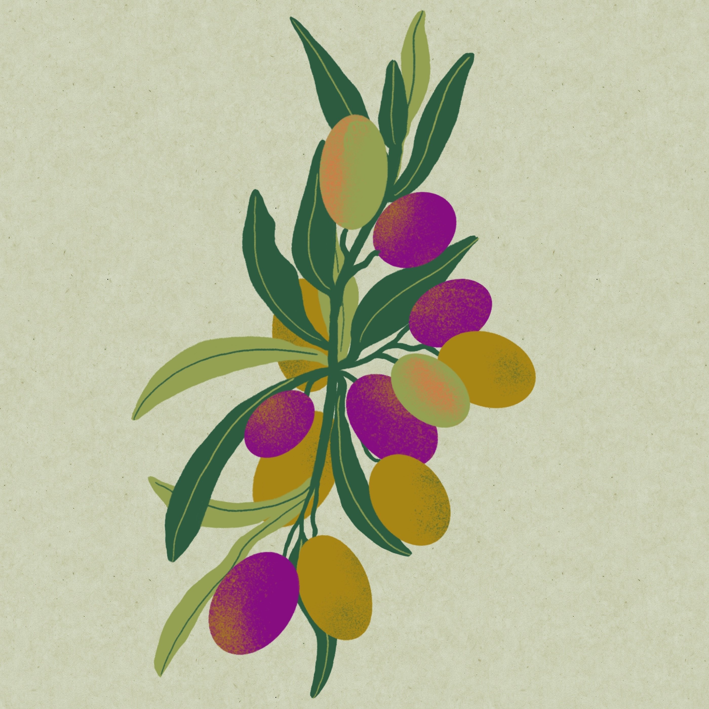 Image from the training dataset for the "Muted Modern " model