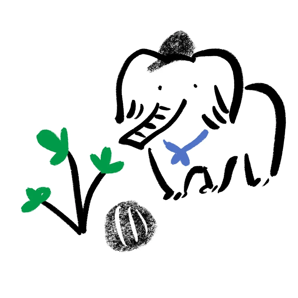 Image from the training dataset for the "Colorful Moments" model