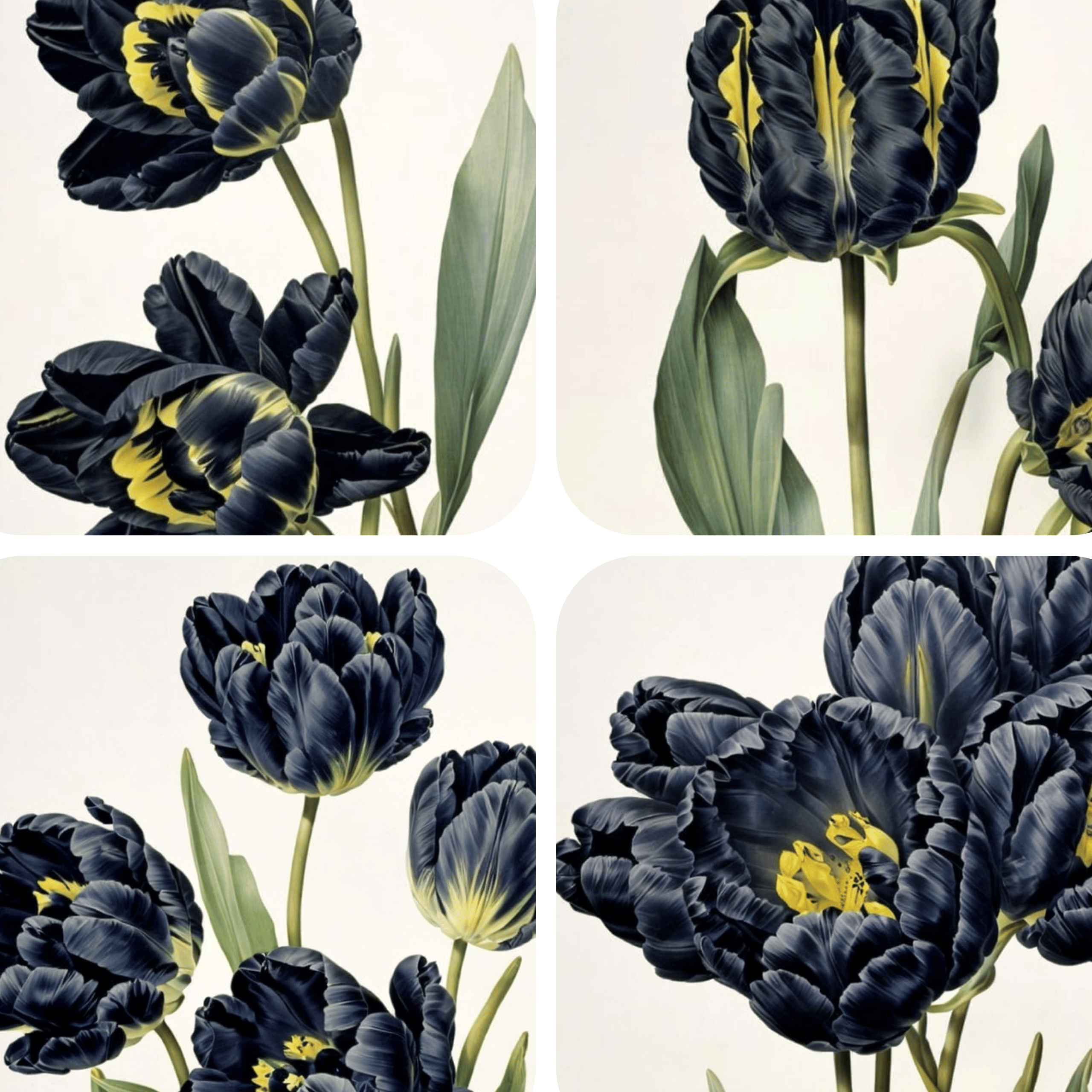 October updates: 4 images per 1 generation, favourite models