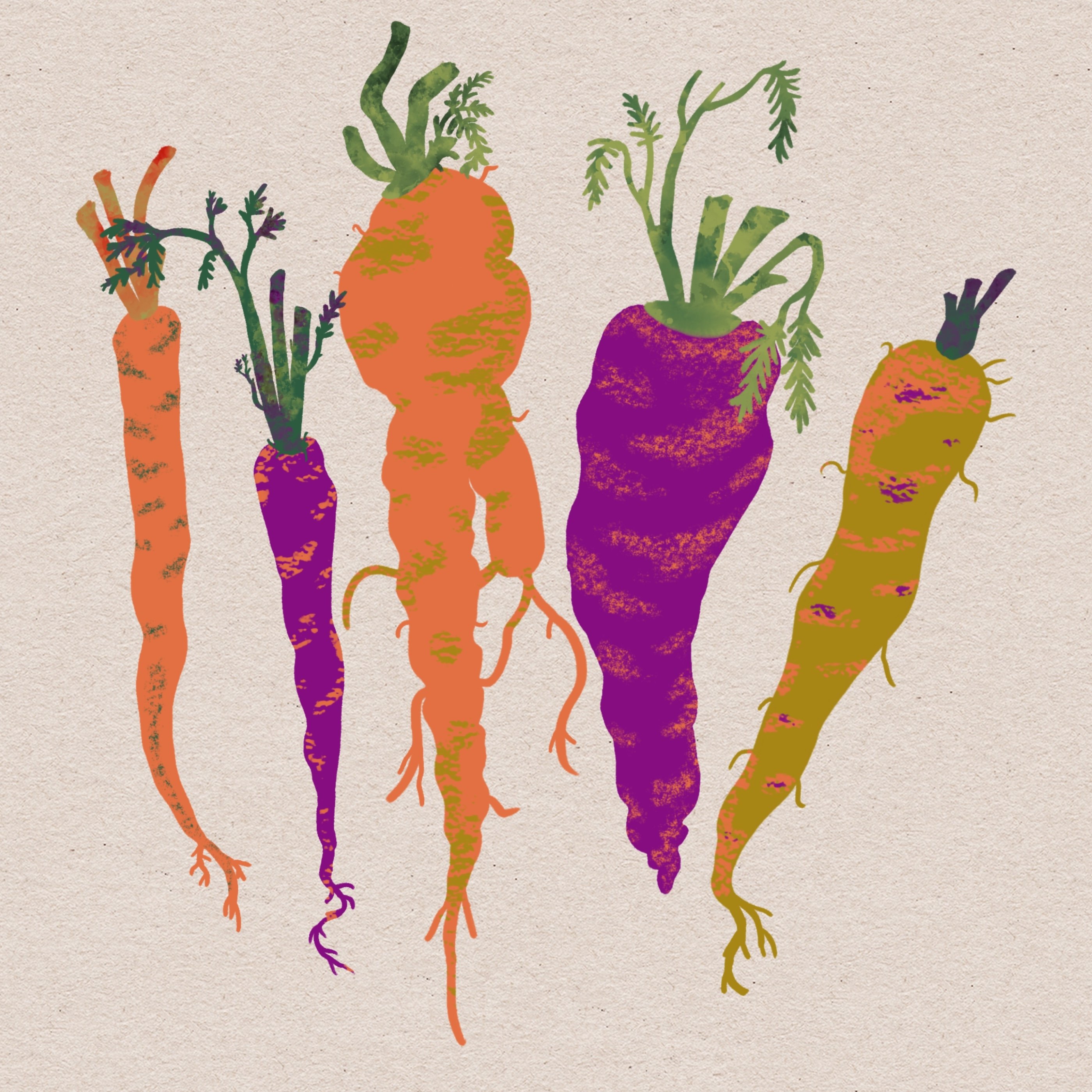 Image from the training dataset for the "Muted Modern " model